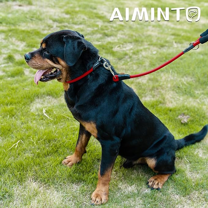 Dog Leash, Braided Rope Traction – Walking Training Lead for Medium/Large Dogs ((1/2") x 6FT, Red)