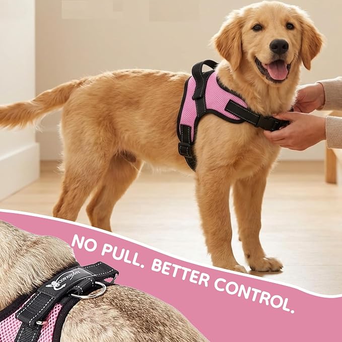 No Pull Reflective Adjustable Dog Harness With Handle- Comfortable Soft All Weather Mesh, Easy On Puppy Harness For Small Medium and Large Dogs (Pink) Large