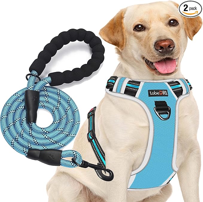tobeDRI No Pull Dog Harness Adjustable Reflective Oxford Easy Control Medium Large Dog Harness with A Free Heavy Duty 5ft Dog Leash