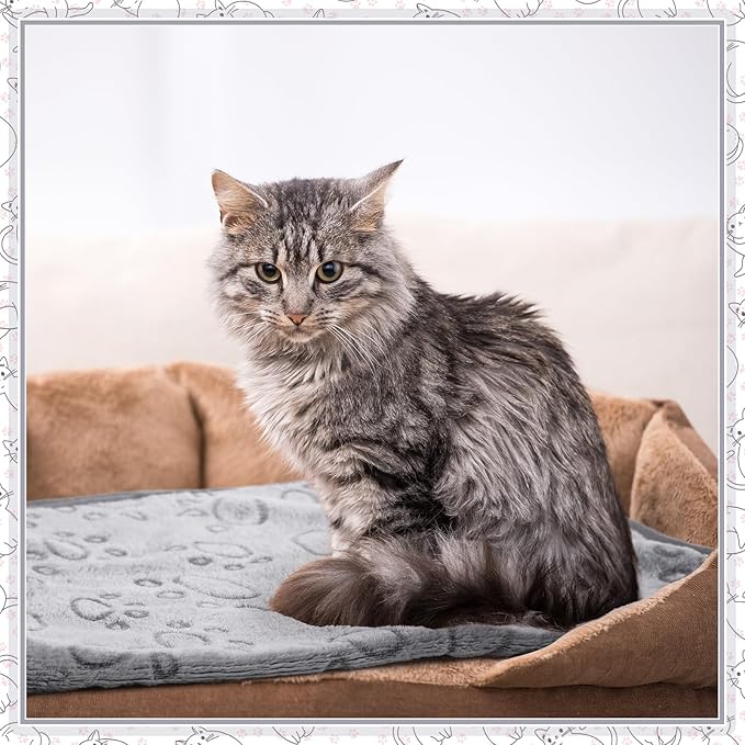 Tegeme 12 Pcs Pet Blankets 23 x 16 Inch Soft Fluffy Fleece Dog Cat Warm Paw Print Pattern Blankets Flannel Throw for Pets Dog Puppy Cat(Gray)