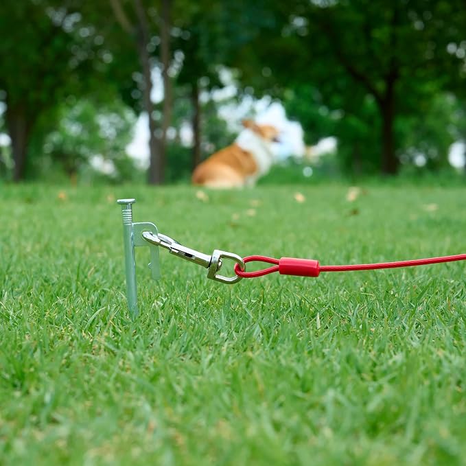 Amazon Basics Tie-Out Cable for Large Dogs, 30 Feet Long, Rust-Resistant, Durable Metal Clips, Up to 125 Pounds, Red
