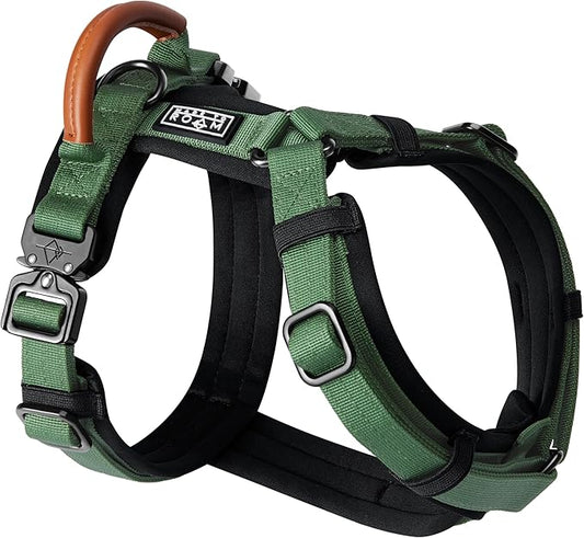 MADE TO ROAM Premium Explorer Harness - Y-Shaped Dog Harness with Adjustable Durable Nylon, Soft Padding, Metal Buckles and Leather Handle for Small, Medium, Large Dogs (Oregon Haze, Size 2)