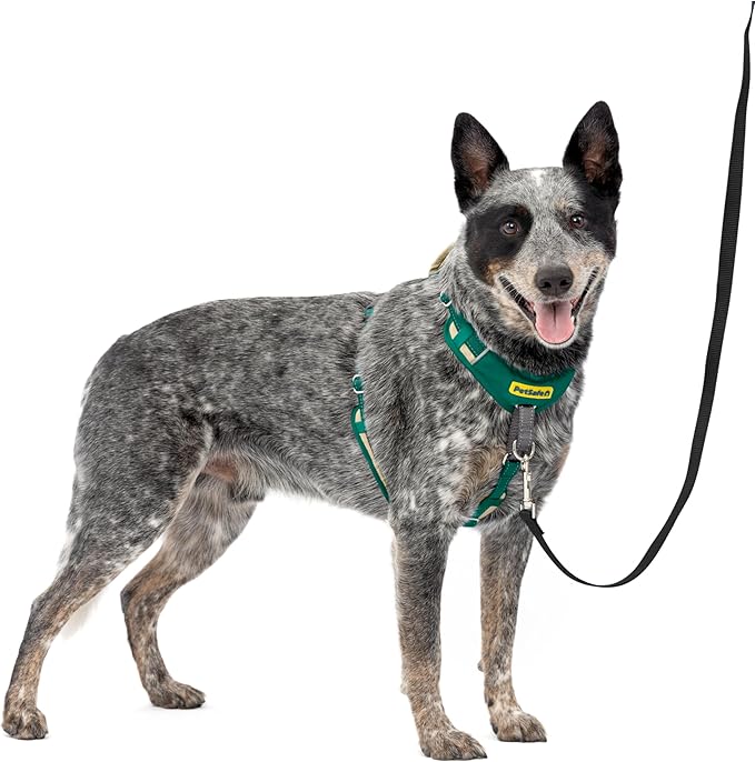 PetSafe Easy Walk Comfort No-Pull Dog Harness Full-Body Padding - Better Walks on the First Use - 5 Points of Adjustment Medium, Green