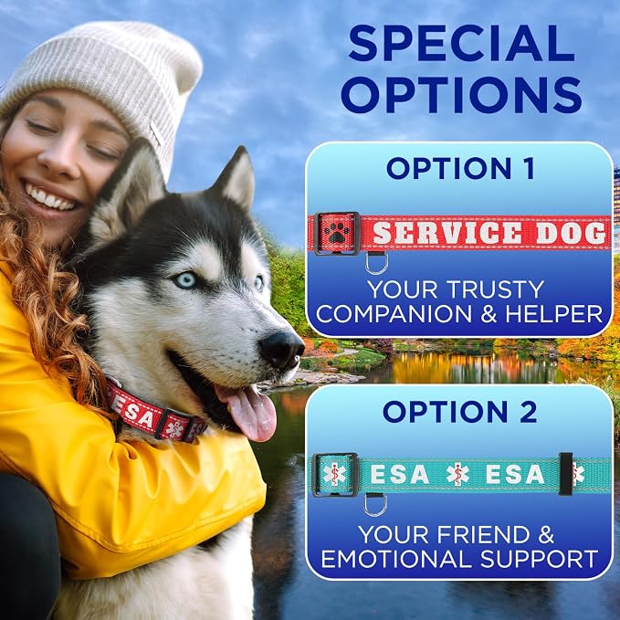 TECEUM Reflective Dog Collar – Olive – L – Extra Soft Padding – Basic Nylon Pet Collar – Quick Release Buckle – Fits Small, Medium and Large Dogs, Puppies, Cats – ESA & Service Dog Options