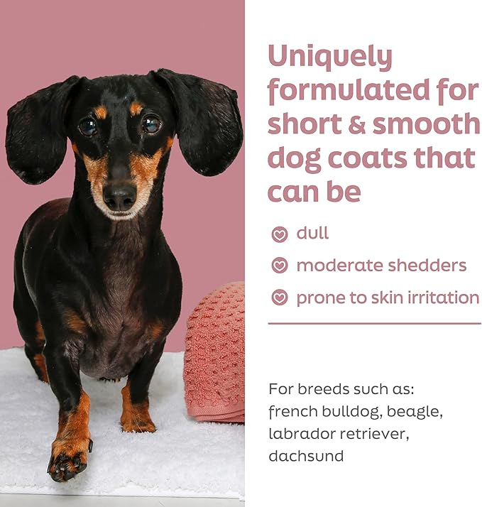 True Coat Short & Smooth Coat Dog Shampoo, 5 in 1 Soothes & Shines with Oat Milk, Coconut Oil & Vitamin E, 16 oz