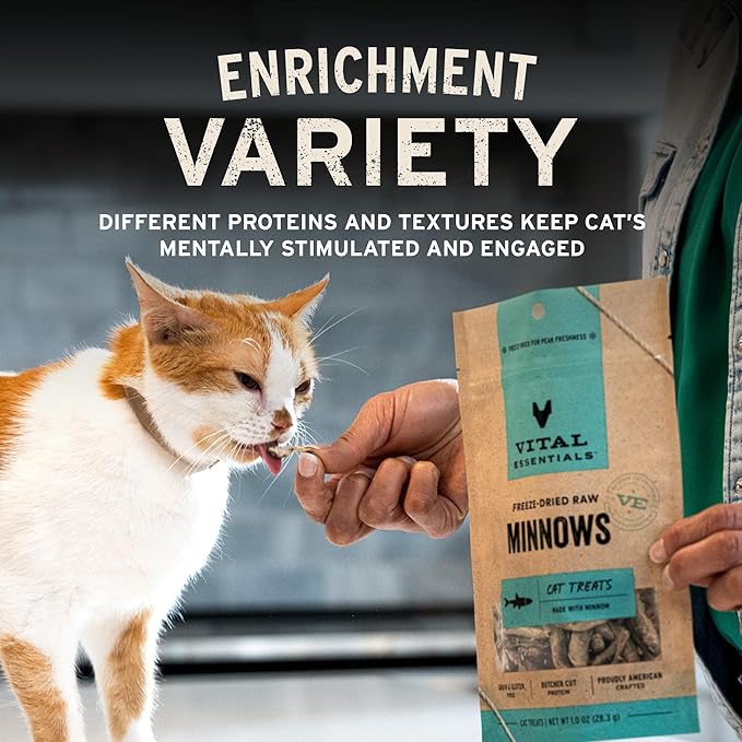 Vital Essentials Freeze Dried Cat Treats | Chicken Breast, Single Ingredient | Premium Quality | Grain Free, Healthy Treats for Cats, 2.1 oz Bag