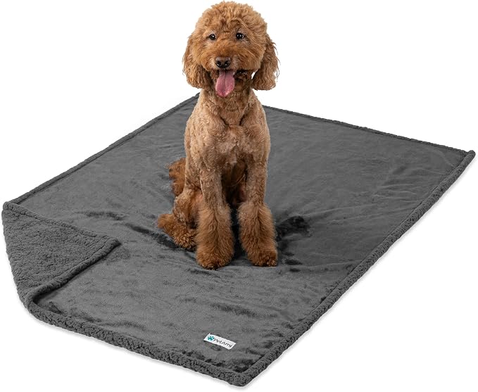PetAmi Waterproof Dog Blanket for Couch, Extra Large 80x60, Pee Proof Sherpa Fleece Reversible Pet Throw, Furniture Protector for Bed Sofa Crate Kennel, Soft Washable Cover for Dog Cat, Grey Sherpa