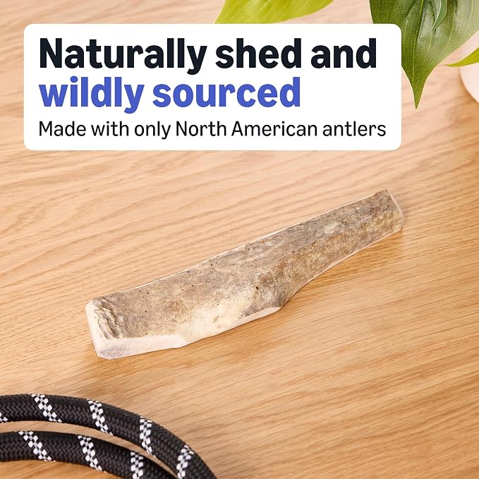 Amazon Basics Split Elk Antler, Medium, for Dogs | Naturally Shed | 15-30 lbs (Pack of 4) (Previously Wag)
