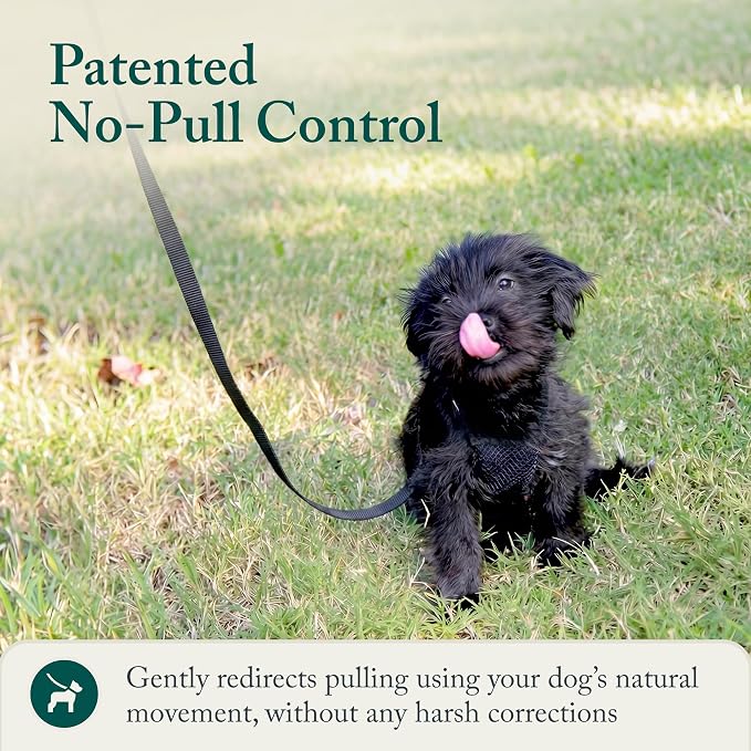 Sporn No Pull Dog Harness, Durable Nylon Mesh Harness for Small Dogs, No Choke Design, Padded Restraint Sleeves, Adjustable Fit, Easy On/Off, XS for Extra Small Breeds, Black