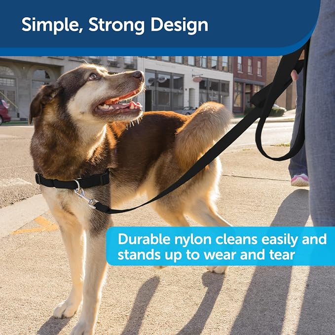 PetSafe Nylon Dog Leash Strong, Durable, Traditional Style Lead with Easy to Use Bolt Snap for Small, Medium and Large Dogs 3/4" x 6', Black