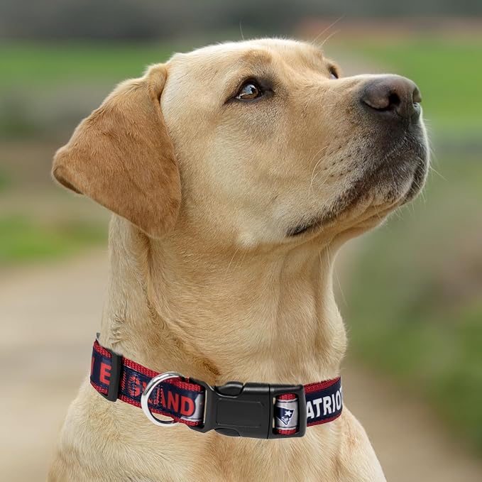 Pets First NFL New England Patriots Licensed PET COLLAR, Large - Heavy-Duty, Strong, and Durable Dog Collar. Available in 31 Football Teams and 4 Sizes