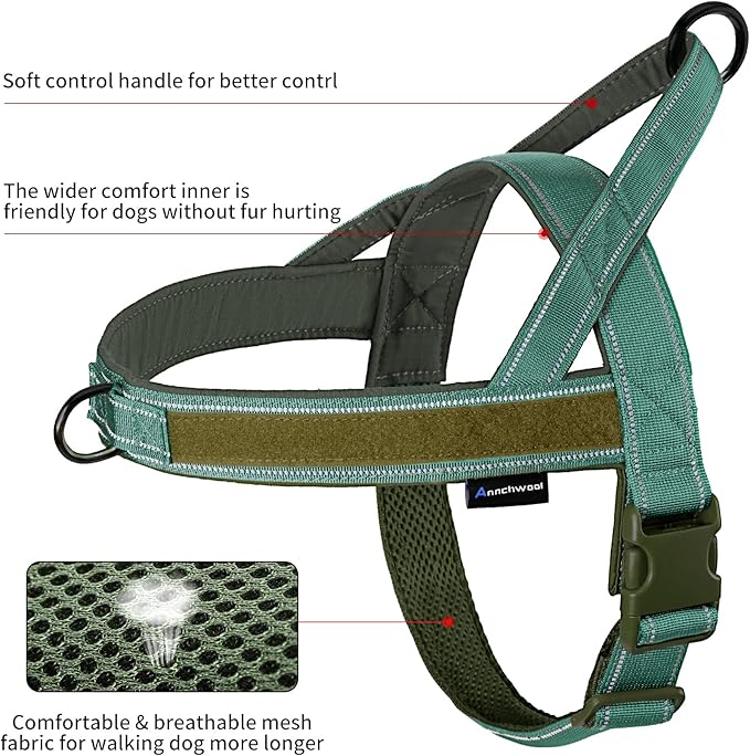 Annchwool No Pull Dog Harness with Padded Handle+5 Ft Leash,Reflective Strip Escape Proof and Quick Fit to Adjust Dog Harness,Easy for Training Walking for Small & Medium and Large Dogs(Green-Set,S)