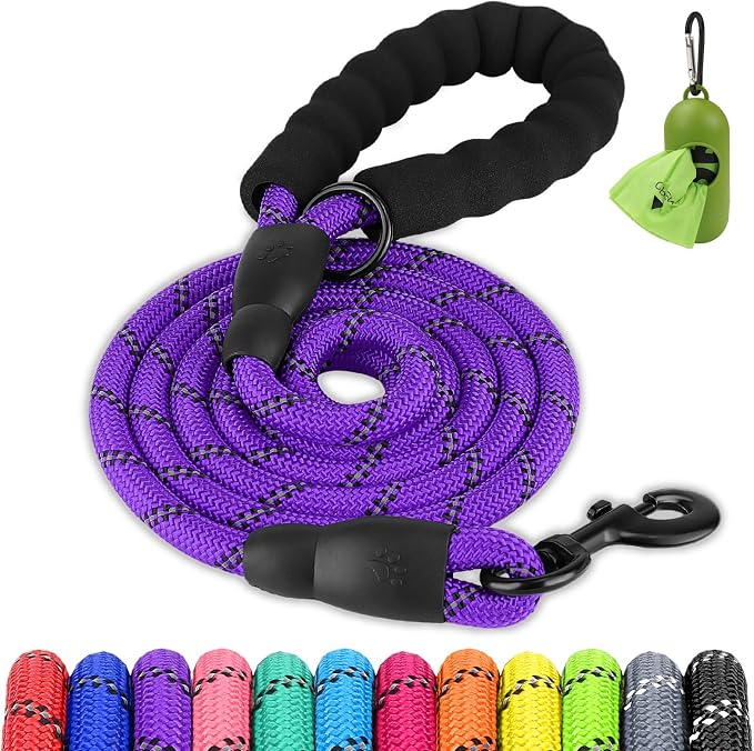Joytale Dog Leash for Small Dogs, Heavy Duty Nylon Leashes with Comfortable Padded Handle and Highly Reflective Threads, Ideal for Walking and Training, Purple, 5'×3/8''