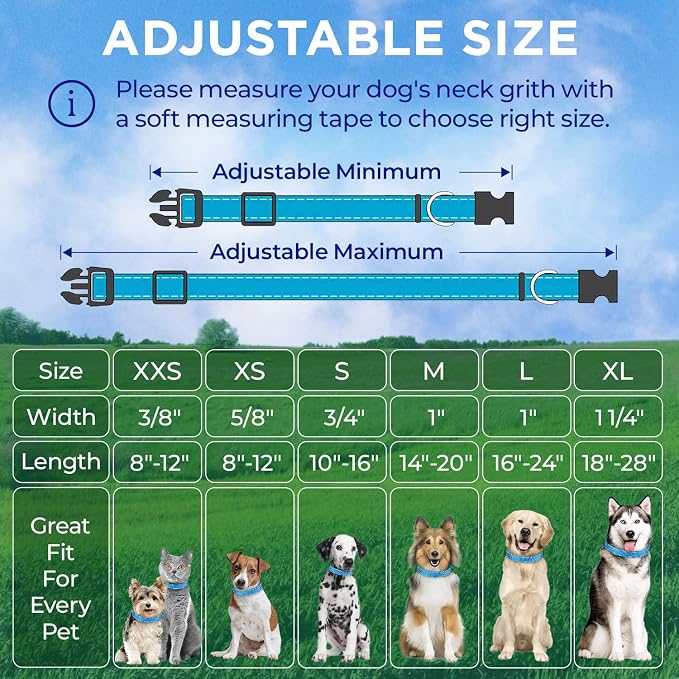 TECEUM Reflective Dog Collar – Sky Blue – M – Extra Soft Padding – Basic Nylon Pet Collar – Quick Release Buckle – Fits Small, Medium and Large Dogs, Puppies, Cats – ESA & Service Dog Options