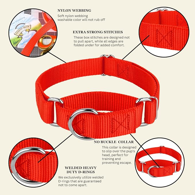 Country Brook Petz - Martingale Dog Collar - Heavy-Duty Training Collar with No Buckle - Service Dog Collar for All Pups - 20 Vibrant Colors (Hot Orange, 1 Inch, Extra Large)