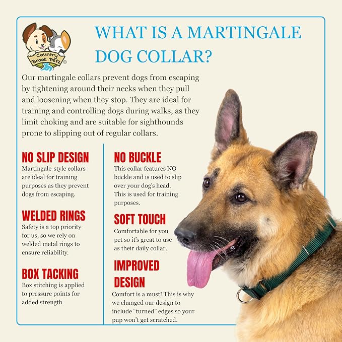 Country Brook Petz - Martingale Dog Collar - Heavy-Duty Training Collar with No Buckle - Service Dog Collar for All Pups - 20 Vibrant Colors (Coyote Tan, 5/8 Inch, Extra Small)