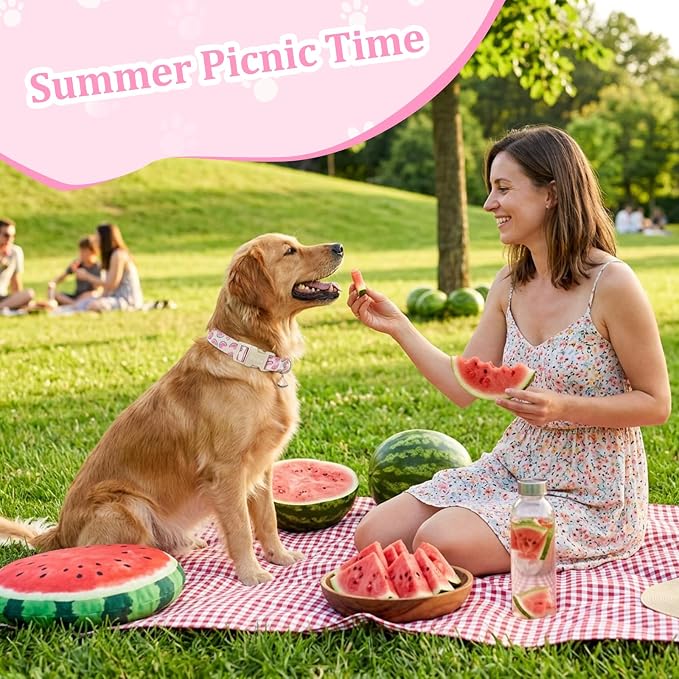 Summer Dog Collar, Cute Pink Dog Collar with Watermelon Pattern, Cotton Adjustable Pet Collars for Small Medium Large Dogs, Gift for Boys Girls Dogs-S