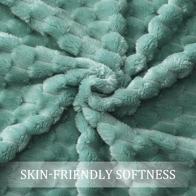 Exclusivo Mezcla Extra Large Soft Fleece Throw Blanket, 50x70 Inches 3D Clouds Stylish Jacquard Throw Blanket for Couch, Cozy Soft Lightweight for All Season, Celadon Blanket