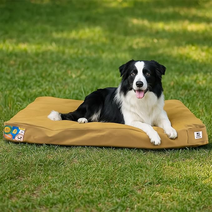 Sytopia 36 Inch Canvas Outdoor Dog Bed for Large Dogs, Durable Dog Bed with Waterproof Machine Washable Removable Cover, Indoor Patio Pet Pad for Crate, Yellow