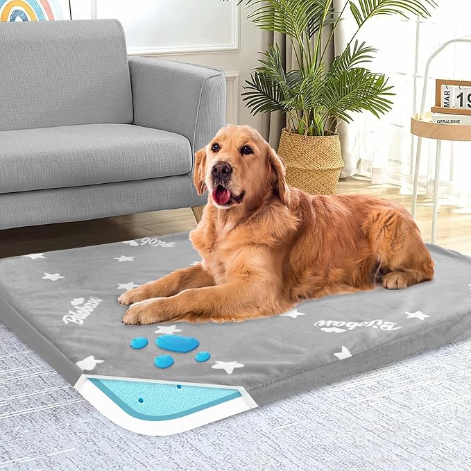 Waterproof Dog Bed for Large/Medium Dog, Memory Foam Orthopedic Dogs Beds & Furniture 38” x 26" x 1.5" for Large Sized Dogs with Anti-Slip & Washable Removable Cover, Soft Flannel Top Pet Beds, Grey