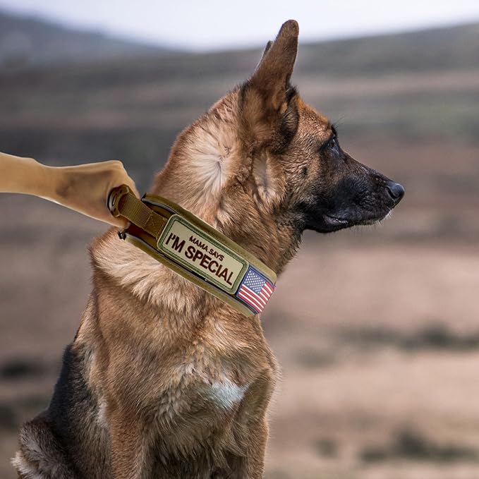 Tactical Dog Collar with Handle for Large Dogs, 2.5"Wide Thick Heavy Duty Metal Buckle Dog Collar with Soft Neoprene Padded Lining, Military Service Reflective Collar for Training(Khaki,L,XL)