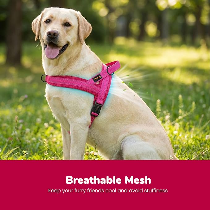 Didog No Pull Dog Harness with Breathable Mesh Padded,Reflective & Quick Fit Light Weight Dog Strap Vest Harness,Easy for Walking Training (L:Chest 26-32", Mesh-Hot Pink)