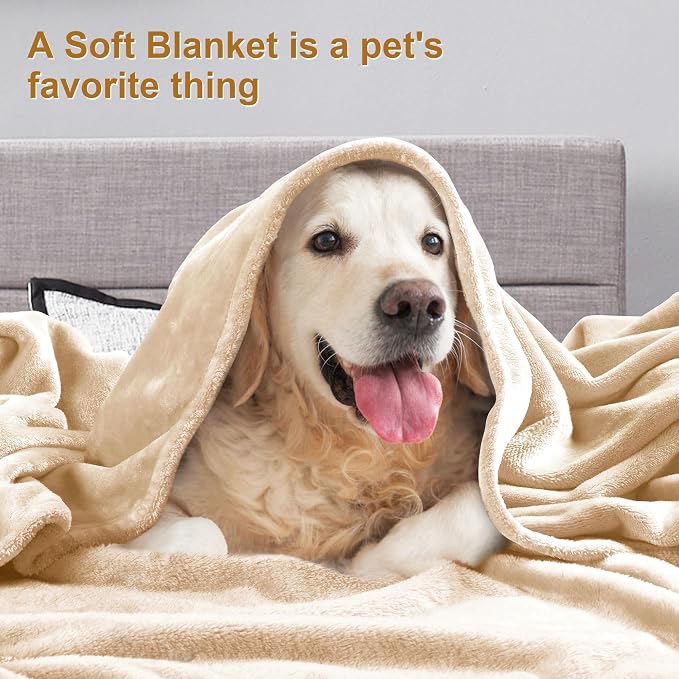 DREAMNINE Extra Large Fleece Blanket, Soft Comfy Fluffy Bed Blankets Queen Size 90" x 90", Luxury Decorative Fuzzy Blanket for Bedroom,Big Cozy Shaggy Warm Flannel Blankets for Winter Autumn Pet,Beige