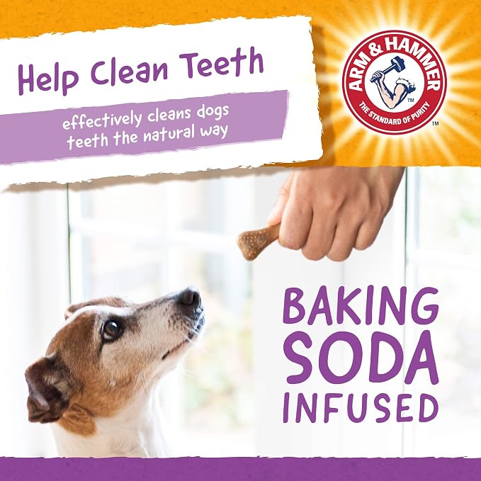 Arm & Hammer for Pets Nubbies Dental Treats Baking Soda Calcium Nubbed Texture Scrubs Plaque Tartar Chicken Flavor Freshens Breath Daily Oral Care 20 Count 7 OZ 24 Pack at Home Consistent Routine