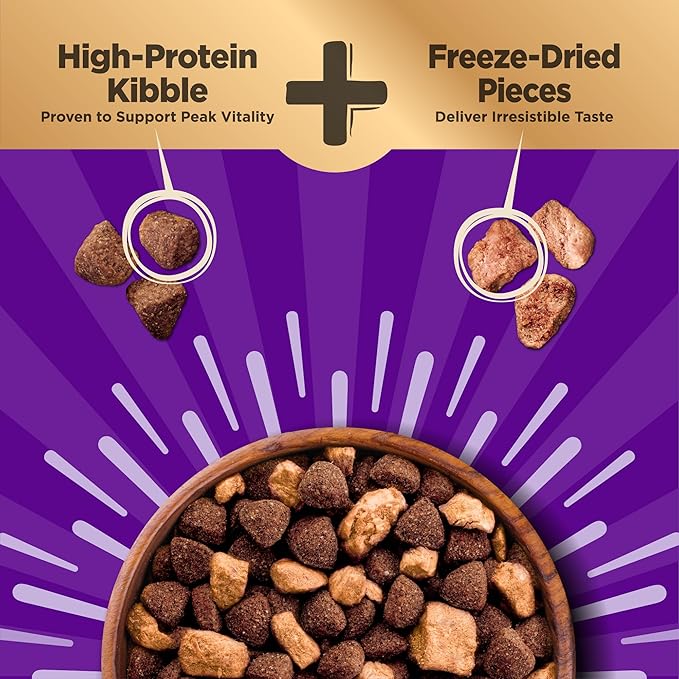Wellness CORE+ Large Breed Adult Dry Dog Food with Freeze Dried Pieces, Wholesome Grain Kibble+, Natural, High Protein, Chicken and Turkey Recipe, 20 lb Bag