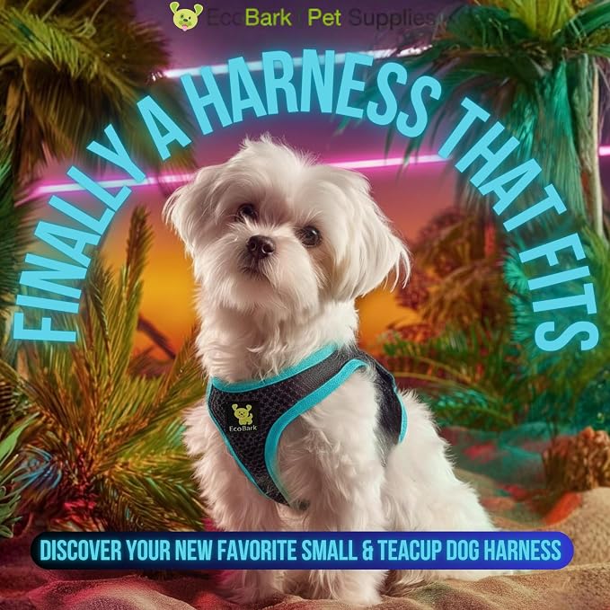 EcoBark Step in Dog Harness - Eco-Friendly Teacup Dog Harnesses for XXS, XS, and Small Dogs - Reflective and Adjustable Mini Body Halter Vest -Tiny Soft Mesh Toy Breed Harness (Black and Teal, XXS)