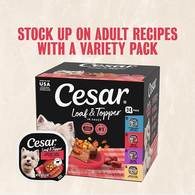 Cesar Loaf in Sauce Wet Dog Food Rotisserie Chicken, Filet Mignon, Angus Beef, and Ham & Egg Flavors Variety Pack, 3.5 oz. Easy Peel Trays (24 Count, Pack of 1)