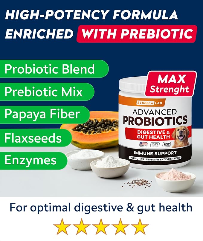 StrellaLab Vet Strength Dog Probiotics Treats - 60 Billion CFU per jar + Digestive Enzymes Prebiotics - Chewable Fiber Supplement w/Pumpkin - Diarrhea, Gas, Constipation, Upset Stomach Relief