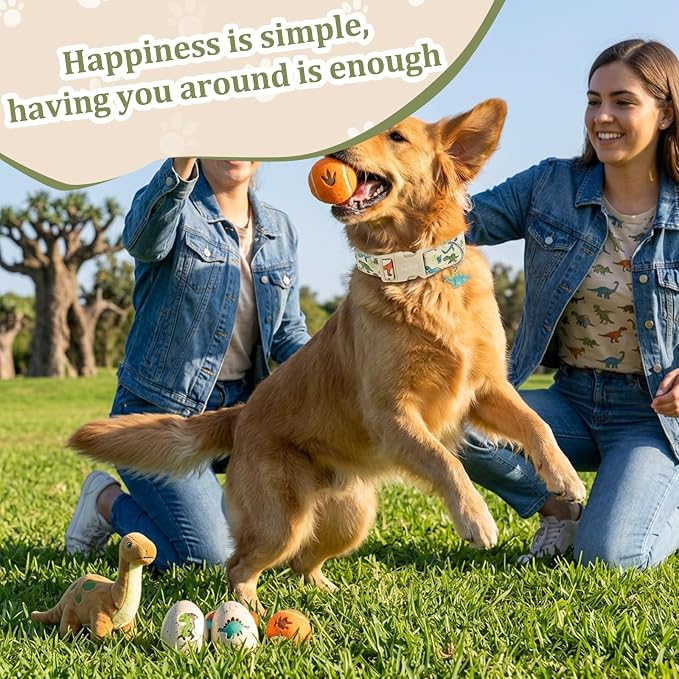 Dog Collars for Medium Dogs, Dinosaur Dog Collar with Metal Buckle, Cute Boy Dog Collars, Soft Cotton Adjustable Puppy Collar Male Dogs Pet Collar Gifts for Medium Large Dogs -M
