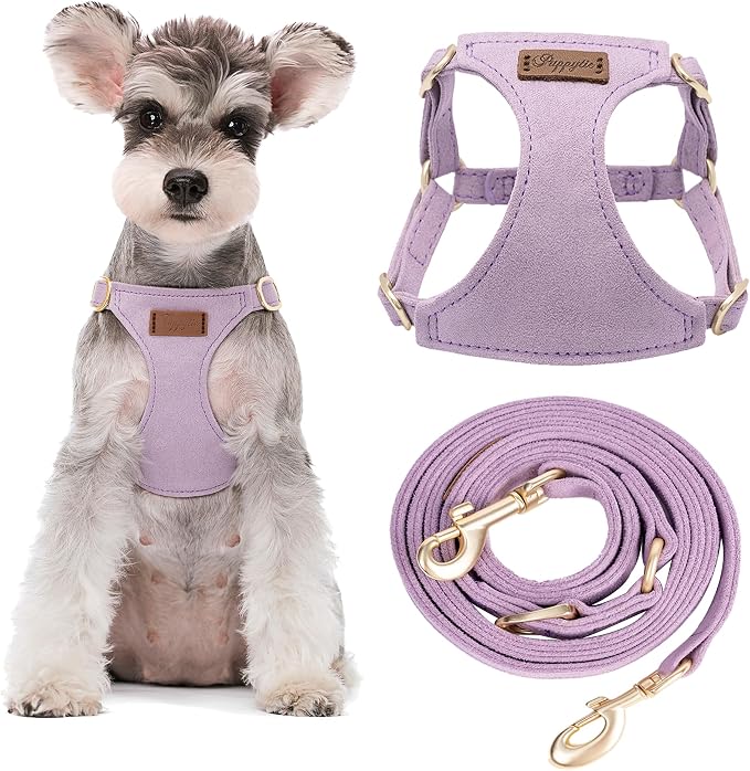 Puppytie No Pull Small Dog Harness with Multifunction Dog Leash,Lightweight Soft Adjustable No Choke Escape Proof Pet Harness Vest, Light Purple, S