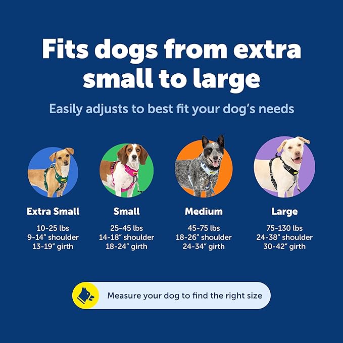 PetSafe Easy Walk Comfort No-Pull Dog Harness Full-Body Padding - Better Walks on the First Use - 5 Points of Adjustment Large, Black