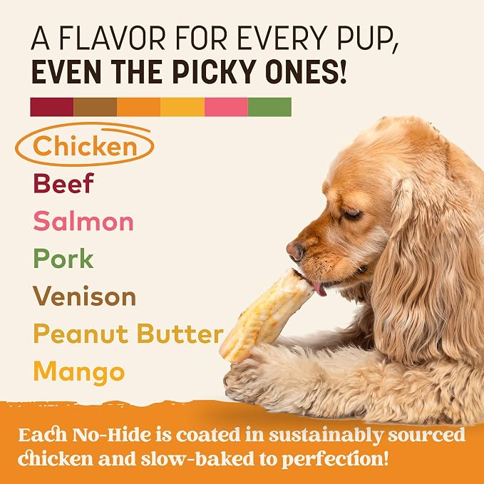 Earth Animal No Hide Chews - Long Lasting Rawhide Free Small Dog Chews Rolls, Chicken - 2 Count