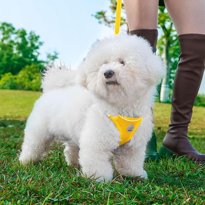 Hipubby Dog Harness and Leash Set, No Pull Soft Mesh Puppy Harness for Small Medium Dogs, Cats - Step in Reflective Breathable Lightweight Vest Harness for Walking, Training - Yellow, XS