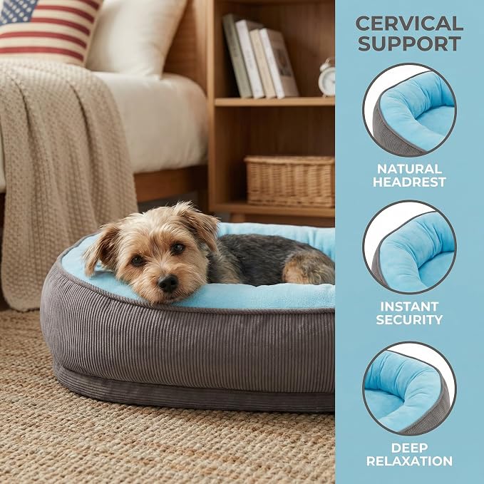 Calming Dog Bed for Medium to Large Dogs 30"x21" - Orthopedic Washable Pet Bed with Anti-Slip Bottom, Indoor Soft Cat Bed with Removable Cover (Sky Blue)