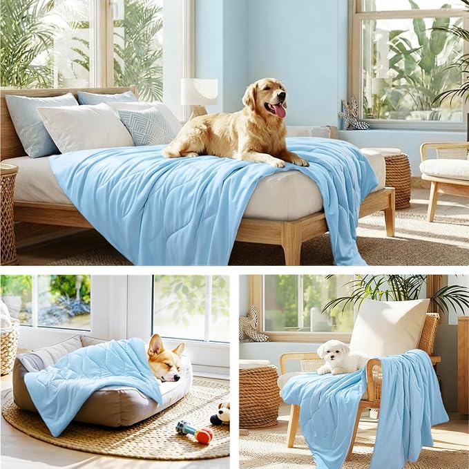 Luciphia Premium Cooling Dog Blanket Washable Q-MAX>0.5 Small Medium Large Pet Mat Puppy Cat Self-Cooling Soft Breathable Calming Throw for Sofa Crate Bed (Light Blue,25x35 inches)