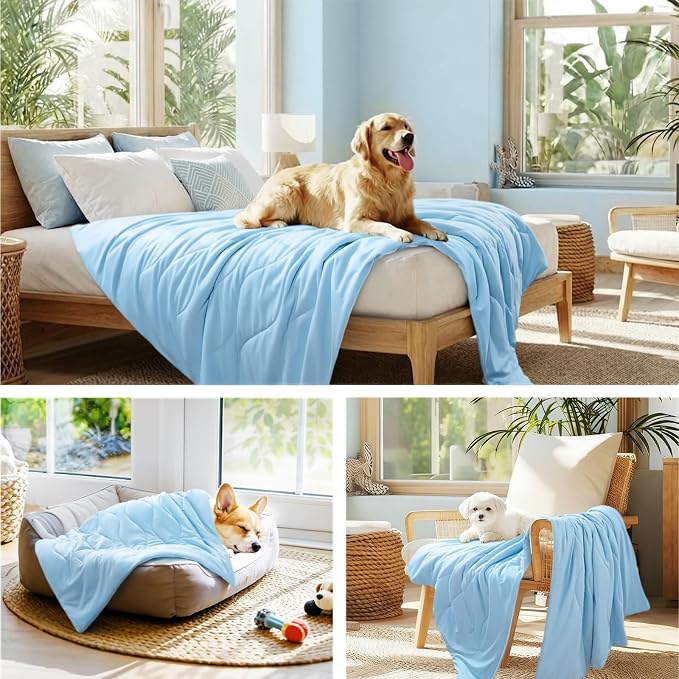 Luciphia Premium Cooling Dog Blanket Washable Q-MAX>0.5 Small Medium Large Pet Mat Puppy Cat Self-Cooling Soft Breathable Calming Throw for Sofa Crate Bed (Light Blue,60x80 inches)