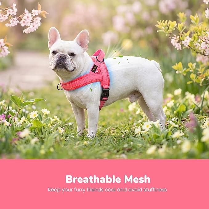 Didog No Pull Dog Harness with Breathable Mesh Padded,Reflective & Quick Fit Light Weight Dog Strap Vest Harness,Easy for Walking Training (S:Chest 18-22", Pink)