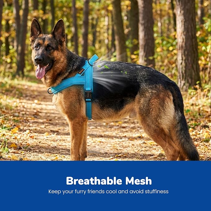 Didog No Pull Dog Harness with Breathable Mesh Padded,Reflective & Quick Fit Light Weight Dog Strap Vest Harness,Easy for Walking Training (L:Chest 26-32", Mesh-Blue)