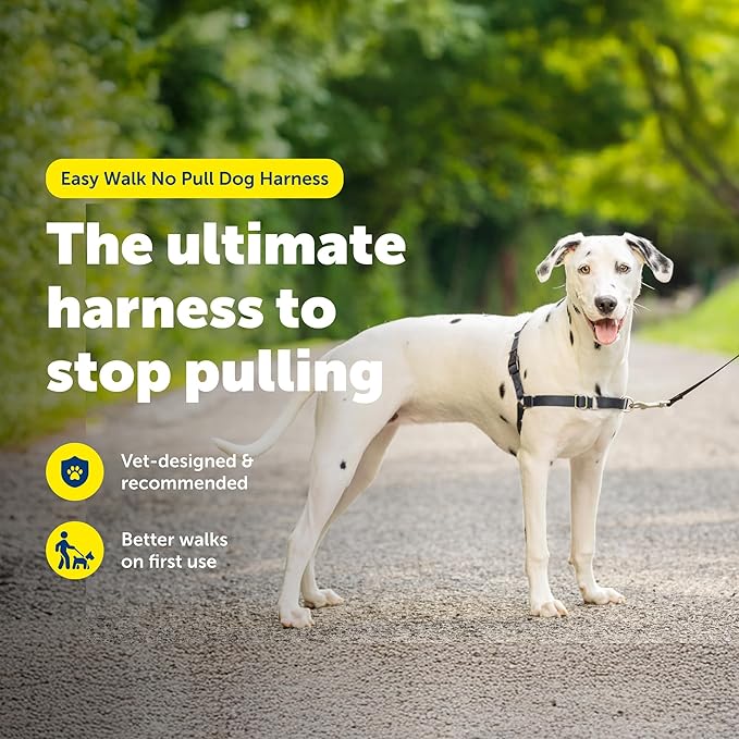 PetSafe Easy Walk No-Pull Dog Harness - Ultimate Harness to Help Stop Pulling - Pull-Free Walks - Take Control & Teach Better Leash Manners - Patented Martingale Loop Design - Gray, Medium/Large