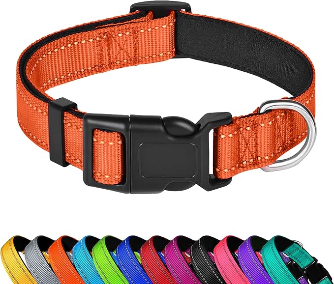 Reflective Dog Collar, Adjustable Soft Neoprene Padded Nylon Pet Collars with Buckle for Small Dogs, Orange,S