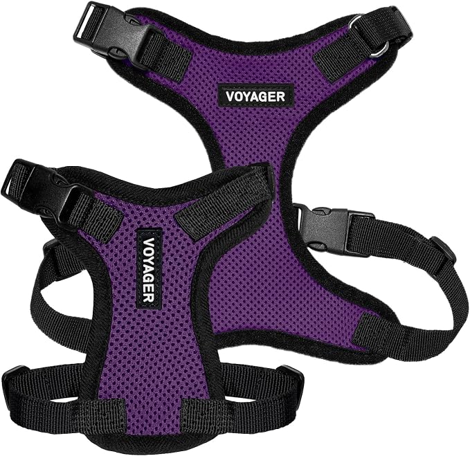 Voyager Step-in Pet Harness - All Weather Mesh, Adjustable Step in Harness for Cats and Dogs by Best Pet Supplies - Purple/Black Trim, M