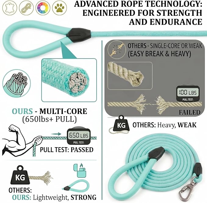 Dog Leash with Padded Handle, Durable Nylon Pet Lead for Small Medium Large Dogs, Heavy Duty Swivel Hook for Walking Training Hiking, 5ft Long Teal Puppy Leash（Turquoise,5 FEET）