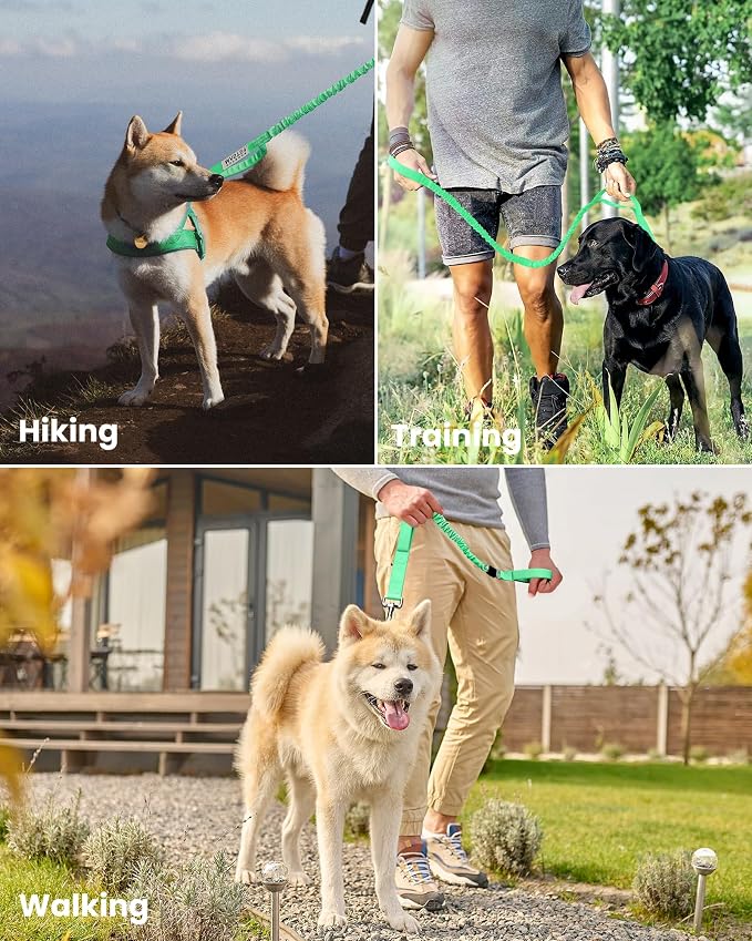 OutdoorMaster Bungee Dog Leash, Heavy Duty Dog Leash with Shock Absorption, 2 Padded Handles Training Leash, Improved Dog Safety and Comfort (Green, 6FT)