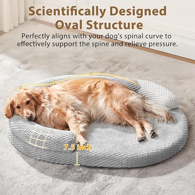 JOEJOY Orthopedic Dog Beds Large Sized Dog, Washable Waterproof Oval Large Dog Bed with Removable Cover, Big Egg-Crate Memory Foam Pet Bed with Bolster Sides & Non-Skid Bottom, Light Grey, 36''x27''