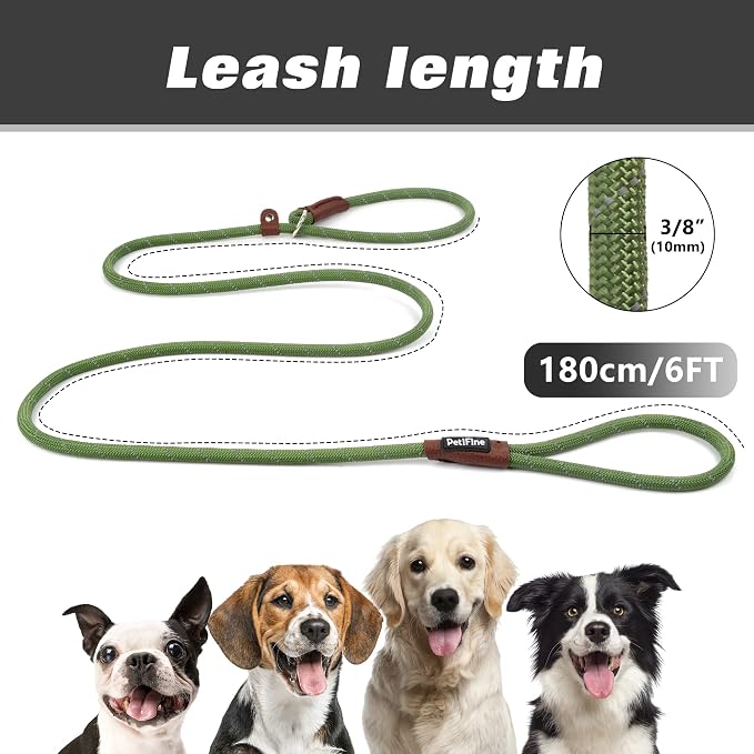 PetiFine Slip Lead Dog Leash,6FT x 3/8" Reflective Durable Dog Training Lead, Heavy Duty Adjustable Nylon Dog Rope Slip Leash for Small Medium Large Dogs (S, Green)