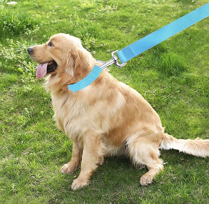 TAIAN 4FT/5FT/6FT Strong Dog Leash, Nylon Dog Leashes for Small Medium Large Dogs (3/4 in x 5 ft, Blue)